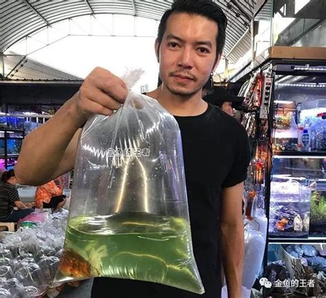 養魚的人 個性